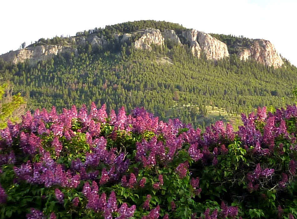 https://helenamontana.com/wp-content/uploads/2016/10/cropped-Mount-Helena-with-Lilacs.jpg